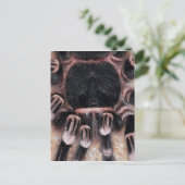 Braziliaanse witte knie Tarantula Briefkaart (Staand voorkant)