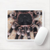 Braziliaanse witte knie Tarantula Muismat (Met muis)