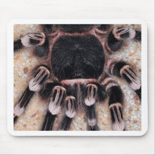 Braziliaanse witte knie Tarantula Muismat