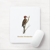 Braziliaanse Woodpeckervogel Mousepad Muismat (Met muis)