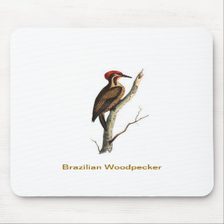 Braziliaanse Woodpeckervogel Mousepad Muismat