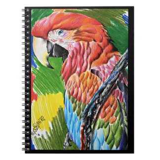 Brazilian Scarlat Macaw - Hand Drawn Wildlife Art Notitieboek