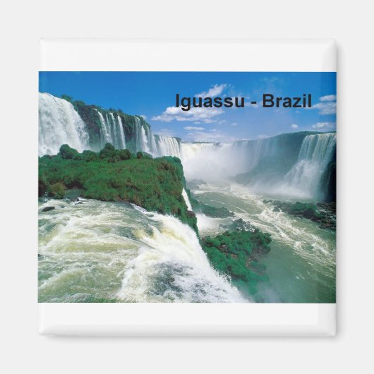 Brazilië Iguassu Herfsten (St.K.) Magneet (Voorkant)
