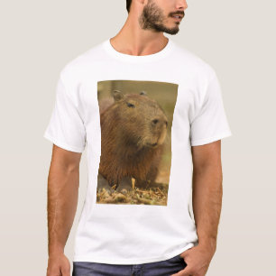 Brazilië, Pantanal, Matto Grosso. Capybara T-shirt