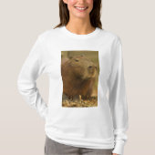 Brazilië, Pantanal, Matto Grosso. Capybara T-shirt (Voorkant)