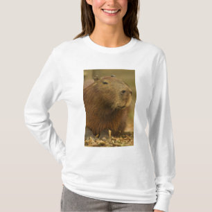 Brazilië, Pantanal, Matto Grosso. Capybara T-shirt