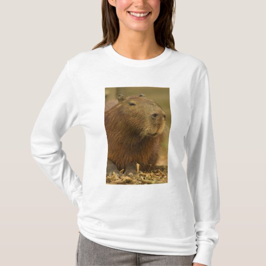 Brazilië, Pantanal, Matto Grosso. Capybara T-shirt (Voorkant)