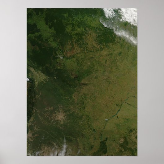 Brazilië Poster (Voorkant)