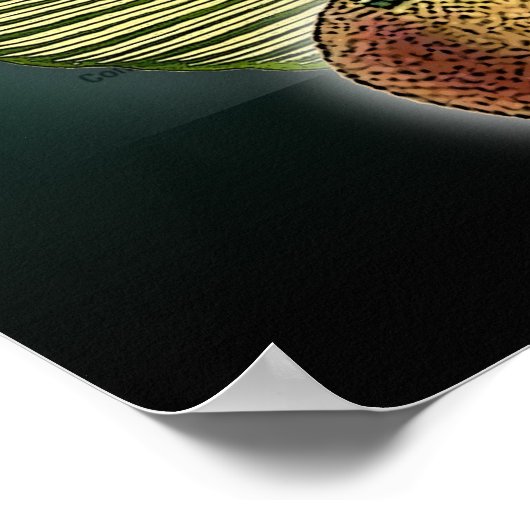 brazilië poster (Hoek)