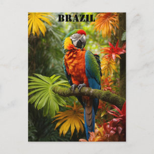 Brazilië Regenwoud Kleurrijke Macaw Vogel Reizen Briefkaart