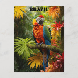 Brazilië Regenwoud Kleurrijke Macaw Vogel Reizen Briefkaart