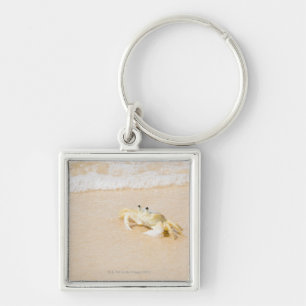 Brazilië, Rio de Janeiro, Buzios, Crab op Sleutelhanger