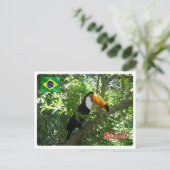 Brazilië - Toco Toucan - Briefkaart (Staand voorkant)