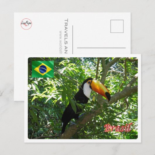 Brazilië - Toco Toucan - Briefkaart (Voorkant / Achterkant)