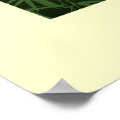 Brazilië voor muren poster (Hoek)