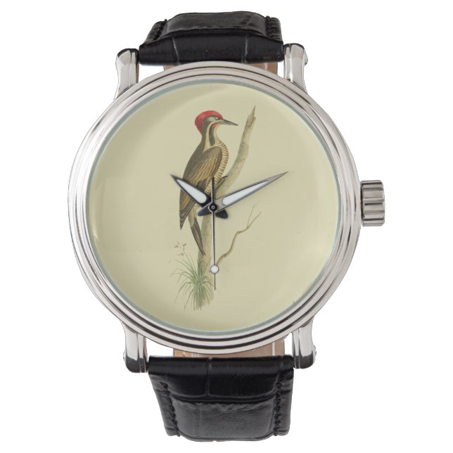Brazillian Woodpecker Horloge (Voorkant)
