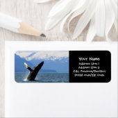 Breach Humpback Etiket (Insitu)