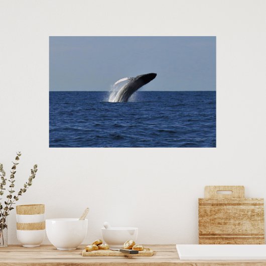 Breach Humpback Poster (Keuken)