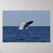 Breach Humpback Poster (Voorkant)