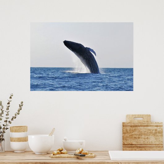 Breach Humpback Poster (Keuken)