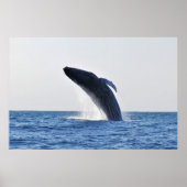 Breach Humpback Poster (Voorkant)