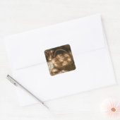 Bread Rolls Vierkante Sticker (Envelop)