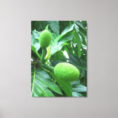 Breadfruit Canvas Afdruk (Voorkant)