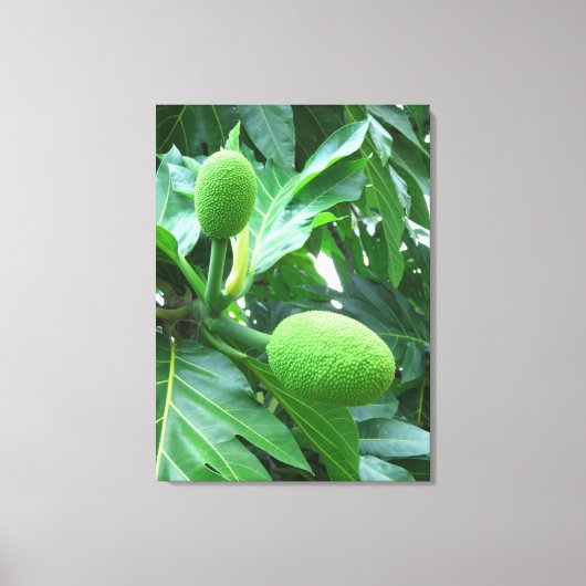Breadfruit Canvas Afdruk (Voorkant)