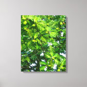 Breadfruitboom Canvas Afdruk (Voorkant)