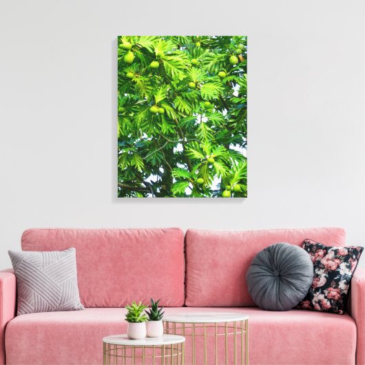 Breadfruitboom Canvas Afdruk (Insitu (Woonkamer))