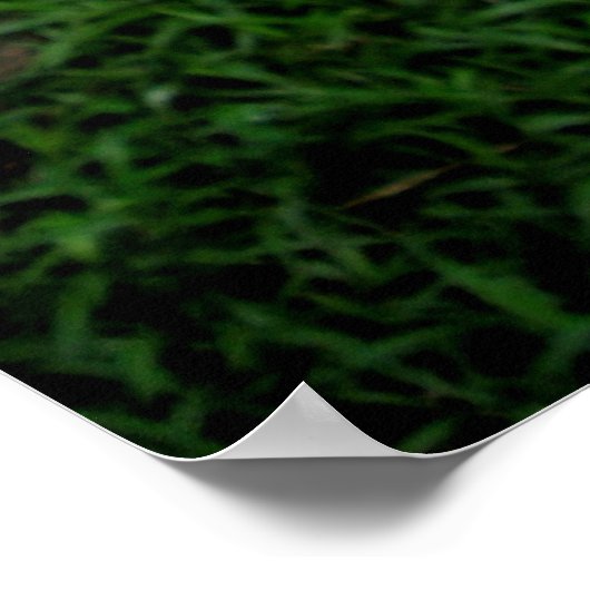 Breadfruitboom Poster (Hoek)