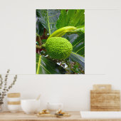 Breadfruitboom Poster (Keuken)