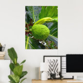 Breadfruitboom Poster (Thuiskantoor)