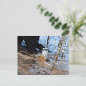 Breakers, Beachlife Briefkaart (Staand voorkant)