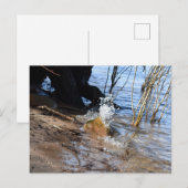 Breakers, Beachlife Briefkaart (Voorkant / Achterkant)