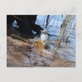 Breakers, Beachlife Briefkaart (Voorkant)