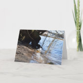 Breakers, Beachlife Kaart (Voorkant)