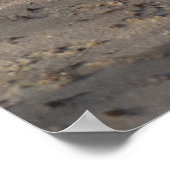 Breakers, piepend leven poster (Hoek)