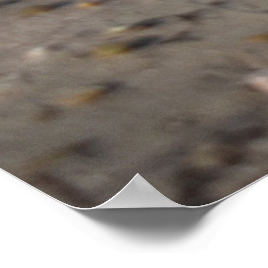 Breakers, piepend leven poster (Hoek)