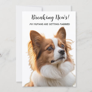 Breaking News Mijn Mensen Gaan Trouwen Kaart