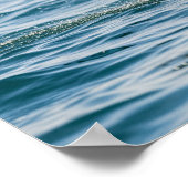 Breaking Zee Lion Poster (Hoek)