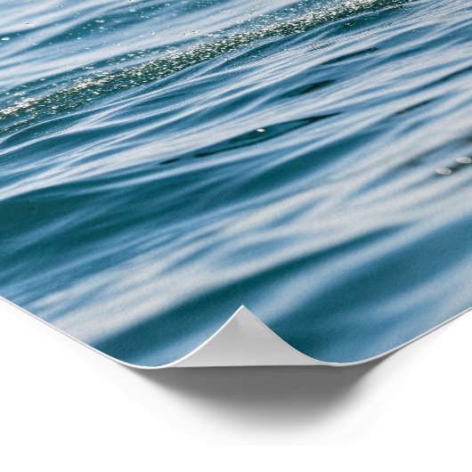 Breaking Zee Lion Poster (Hoek)