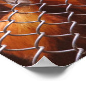 Breakout Poster (Hoek)