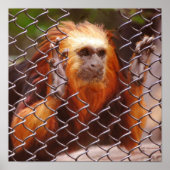 Breakout Poster (Voorkant)