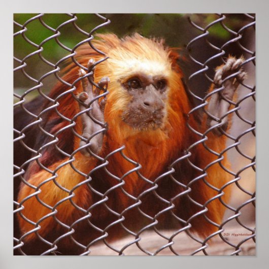 Breakout Poster (Voorkant)