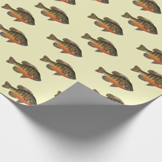 Bream, Bluegill Cadeaupapier (Hoek)