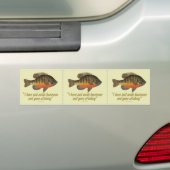 Bream Gevist Bumpersticker (Op auto)