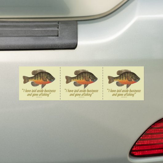 Bream Gevist Bumpersticker (Op auto)