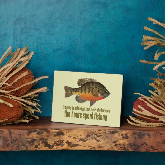 Bream Gevist Fotoplaat (Zijkant)