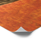 Bream Gevist Poster (Hoek)